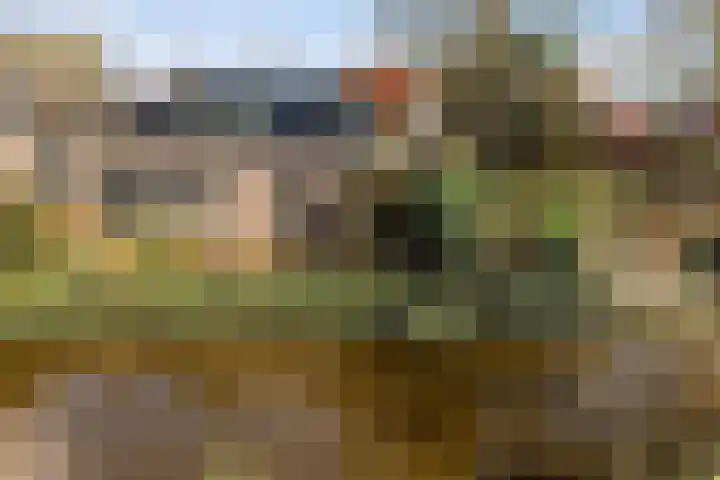 Aldfeartsdyk 2 Goënga