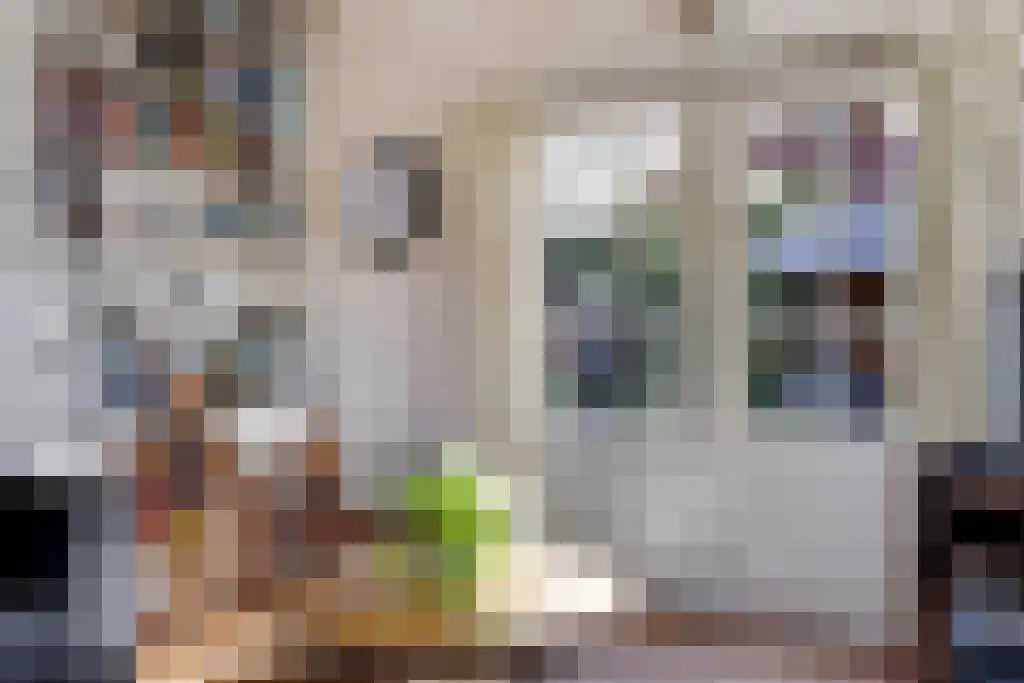 Aldfeartsdyk 2 Goënga thumbnail 12