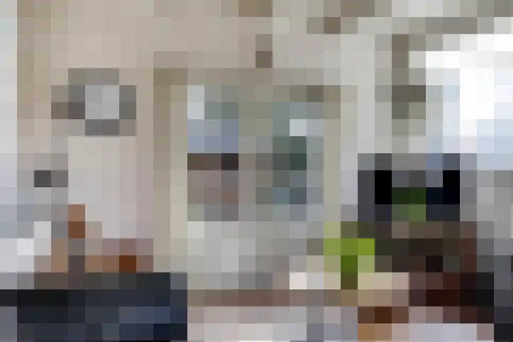 Aldfeartsdyk 2 Goënga thumbnail 13