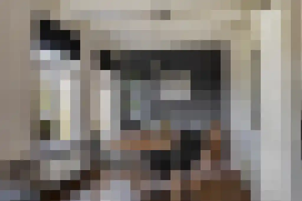 Aldfeartsdyk 2 Goënga thumbnail 14