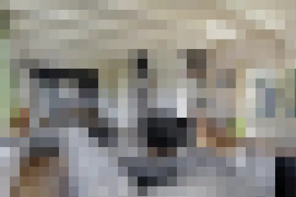 Aldfeartsdyk 2 Goënga thumbnail 16