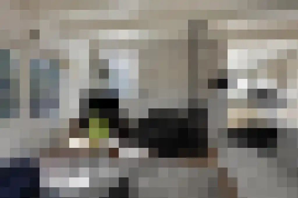 Aldfeartsdyk 2 Goënga thumbnail 17
