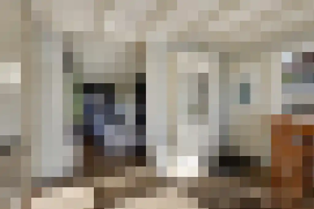 Aldfeartsdyk 2 Goënga thumbnail 18