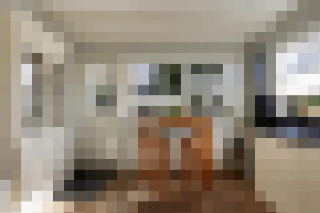 Aldfeartsdyk 2 Goënga thumbnail 19