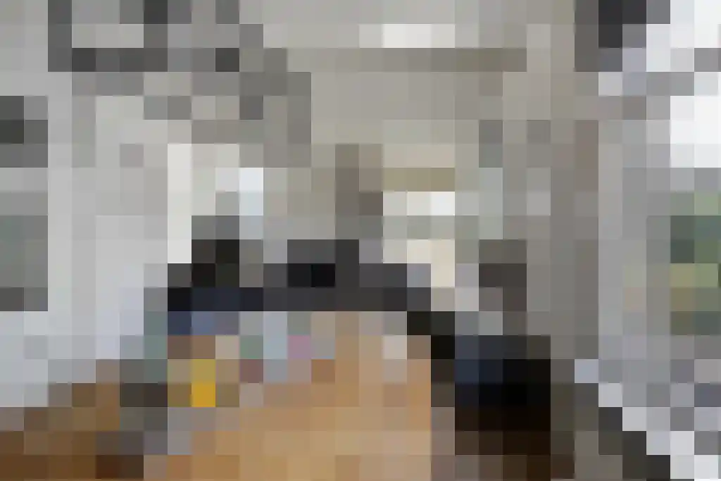 Aldfeartsdyk 2 Goënga thumbnail 21