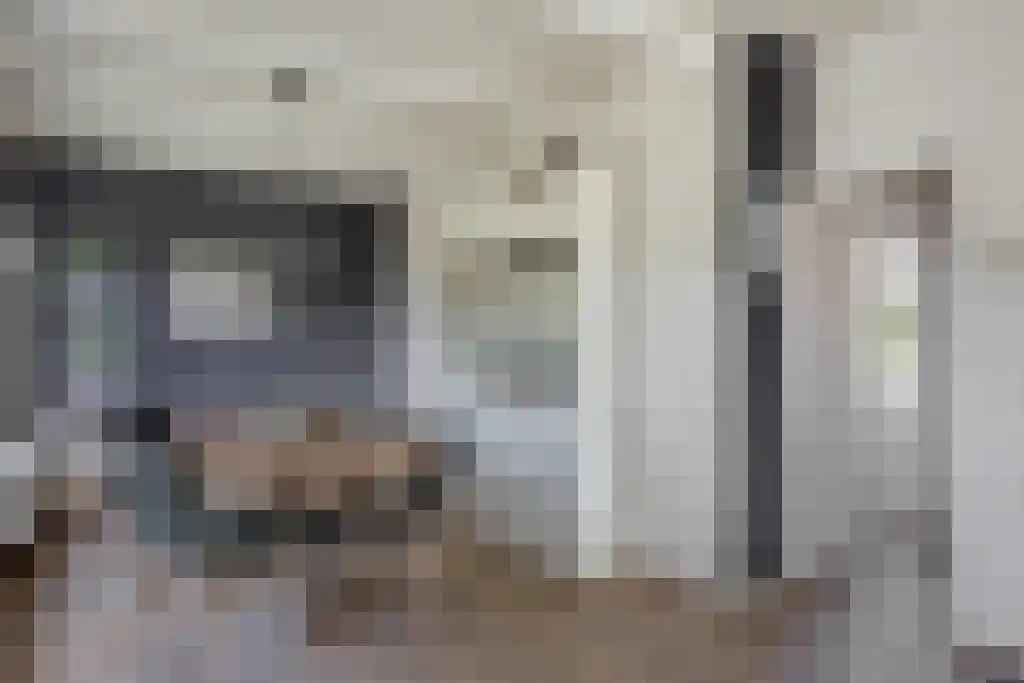 Aldfeartsdyk 2 Goënga thumbnail 22