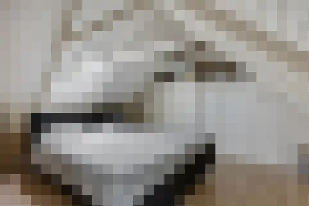 Aldfeartsdyk 2 Goënga thumbnail 23