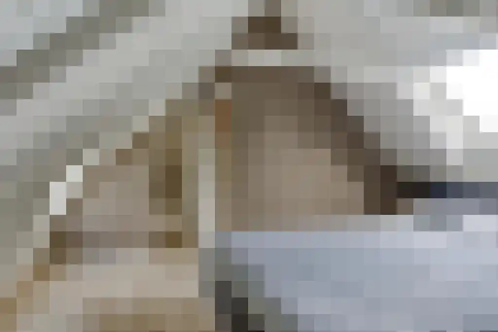 Aldfeartsdyk 2 Goënga thumbnail 24