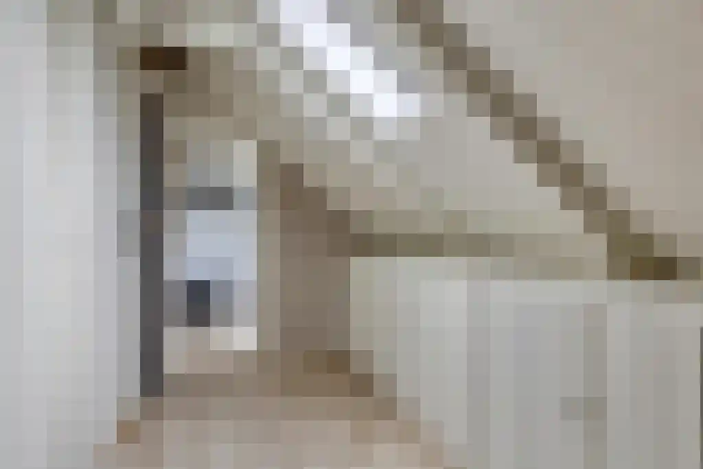 Aldfeartsdyk 2 Goënga thumbnail 26