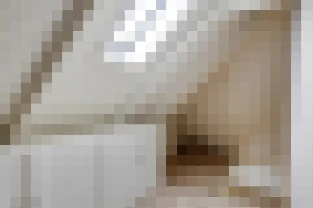 Aldfeartsdyk 2 Goënga thumbnail 27