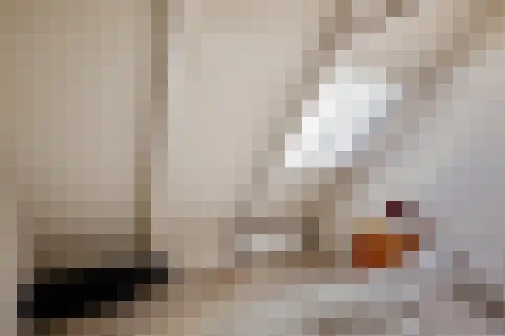 Aldfeartsdyk 2 Goënga thumbnail 29