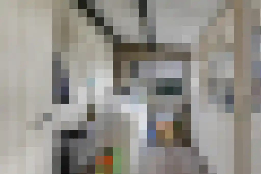 Aldfeartsdyk 2 Goënga thumbnail 30