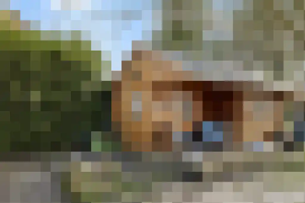 Aldfeartsdyk 2 Goënga thumbnail 32