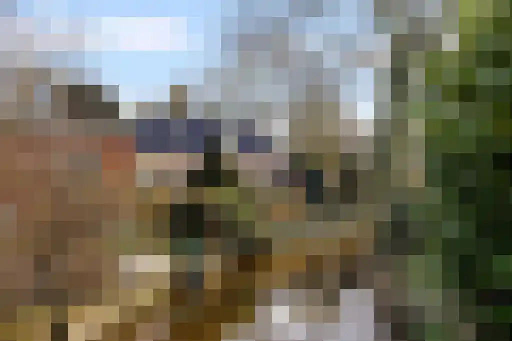 Aldfeartsdyk 2 Goënga thumbnail 34