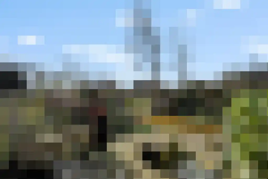 Aldfeartsdyk 2 Goënga thumbnail 36