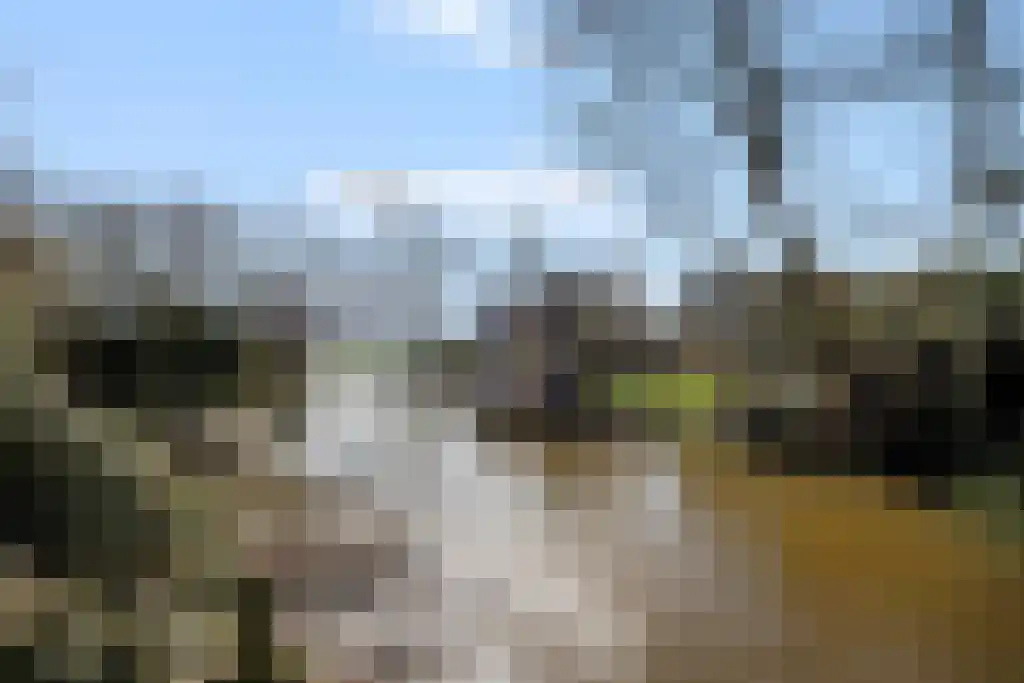 Aldfeartsdyk 2 Goënga thumbnail 37