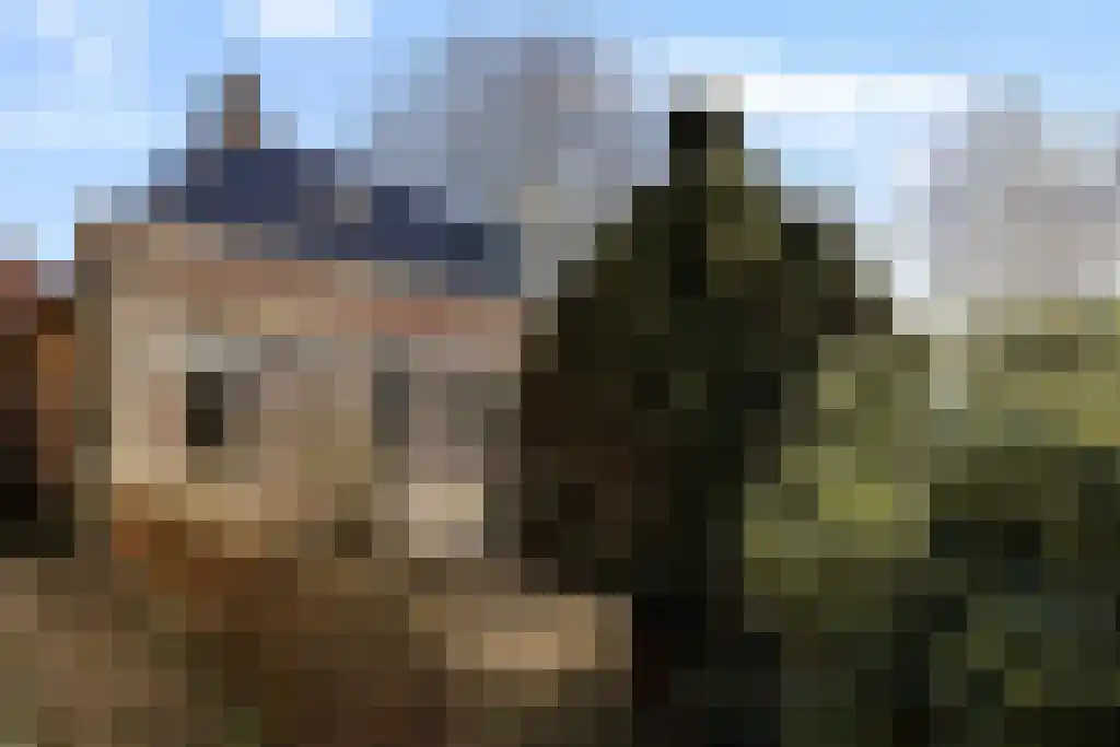 Aldfeartsdyk 2 Goënga thumbnail 4