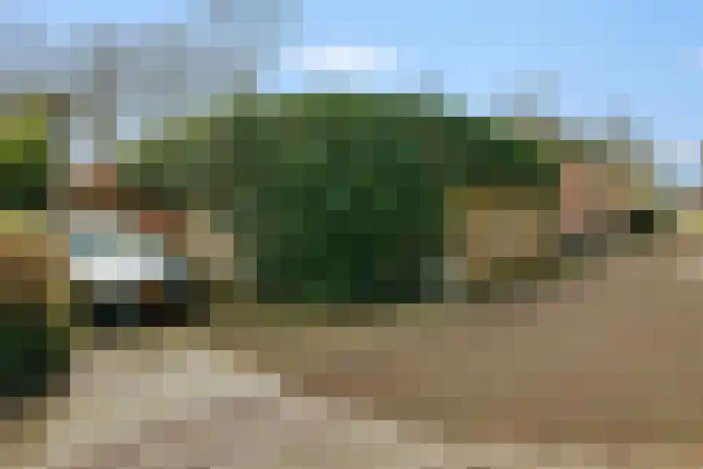Aldfeartsdyk 2 Goënga thumbnail 40