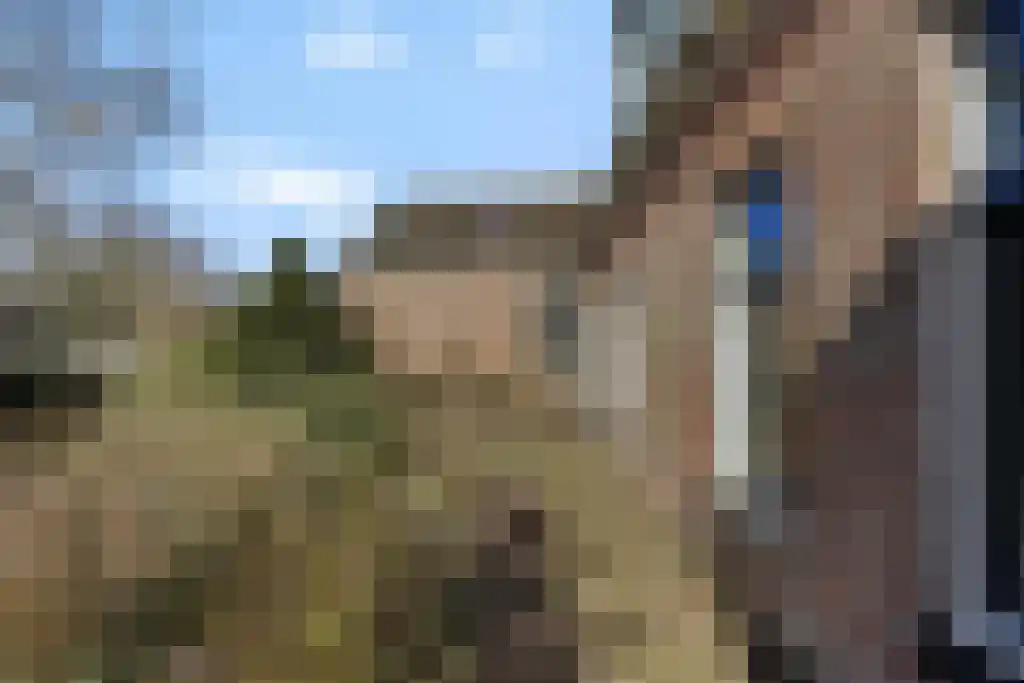 Aldfeartsdyk 2 Goënga thumbnail 41