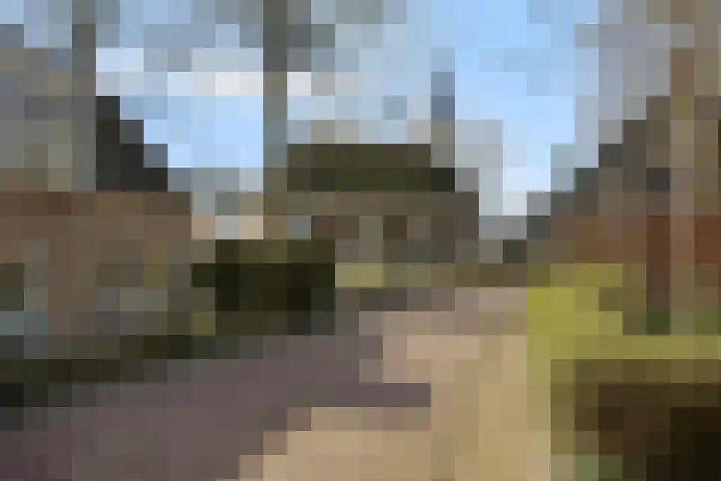 Aldfeartsdyk 2 Goënga thumbnail 42