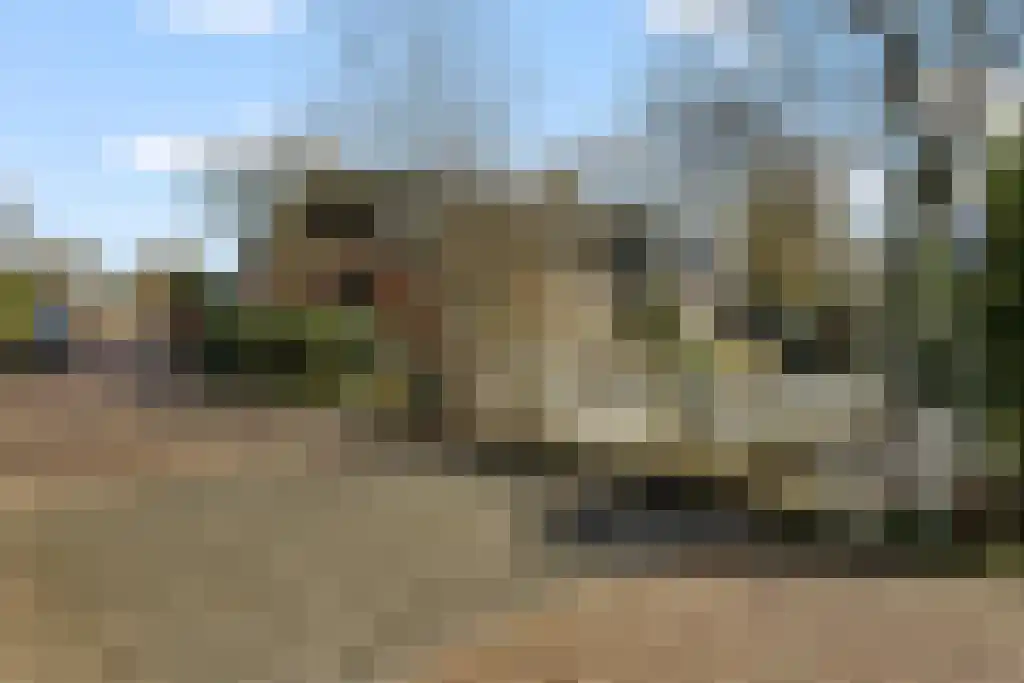 Aldfeartsdyk 2 Goënga thumbnail 43