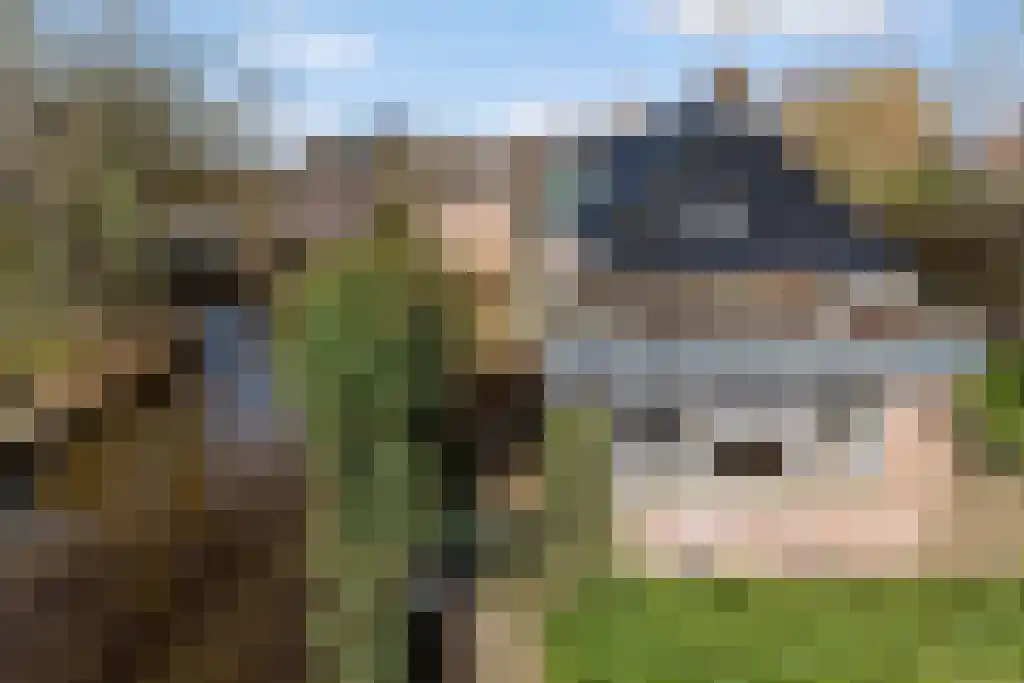 Aldfeartsdyk 2 Goënga thumbnail 46