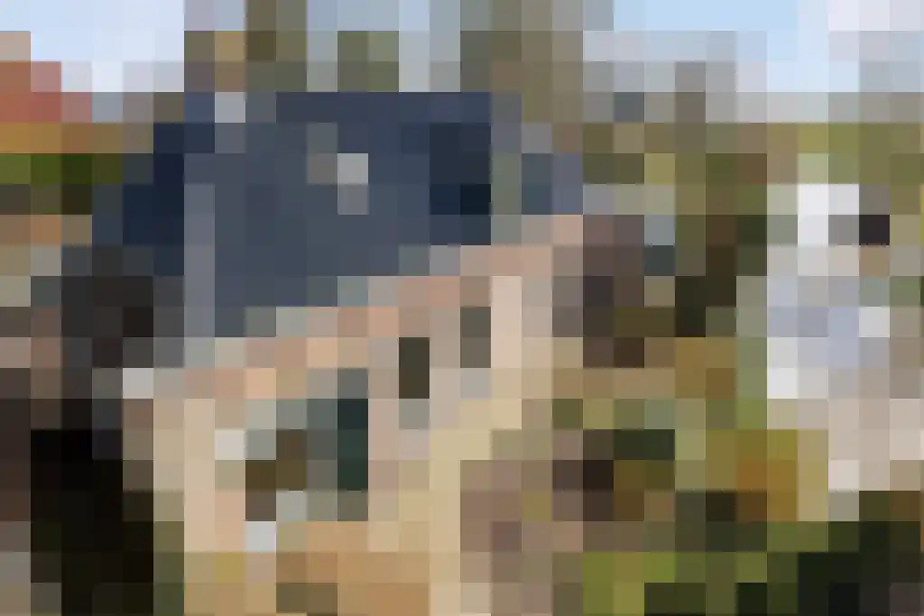 Aldfeartsdyk 2 Goënga thumbnail 47