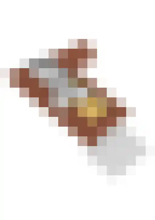 Aldfeartsdyk 2 Goënga thumbnail 52