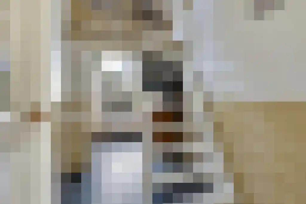 Aldfeartsdyk 2 Goënga thumbnail 6