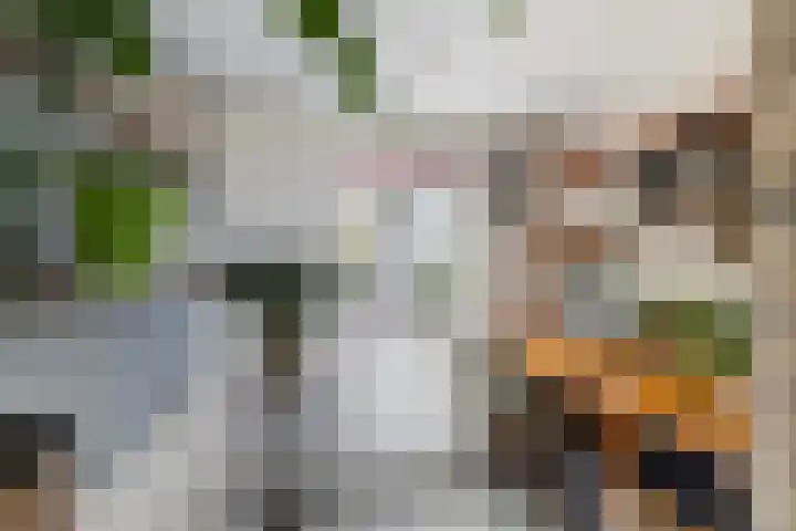 Aldlânsdyk 10 Stiens thumbnail 10
