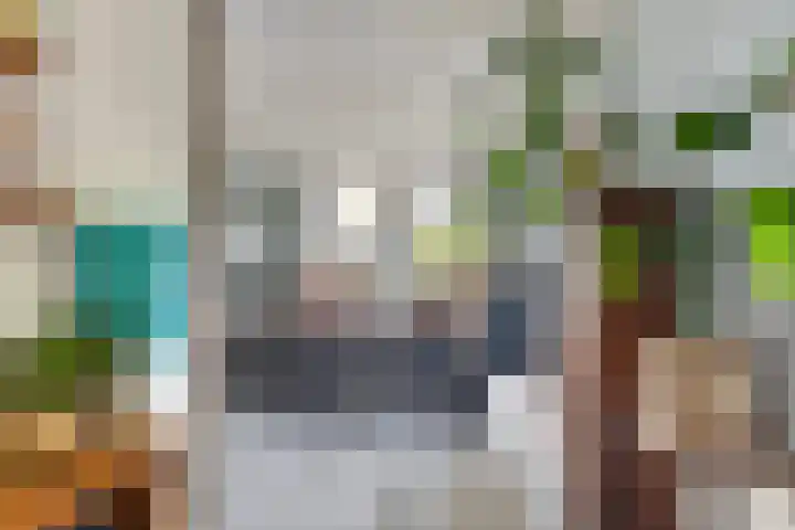 Aldlânsdyk 10 Stiens thumbnail 11