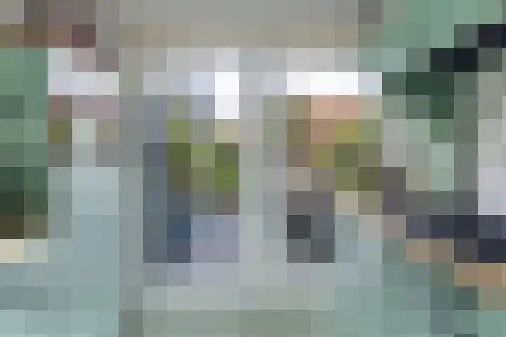 Aldlânsdyk 10 Stiens thumbnail 13