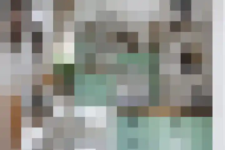 Aldlânsdyk 10 Stiens thumbnail 15