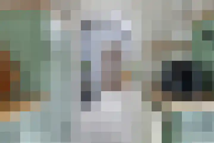 Aldlânsdyk 10 Stiens thumbnail 17