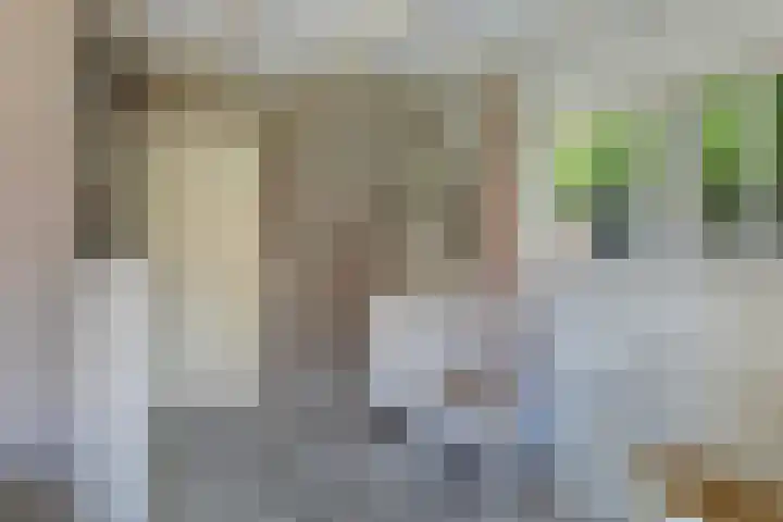 Aldlânsdyk 10 Stiens thumbnail 18