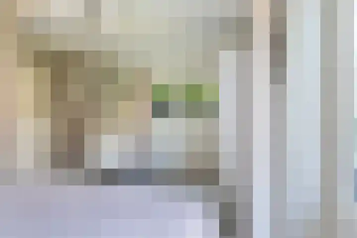Aldlânsdyk 10 Stiens thumbnail 20