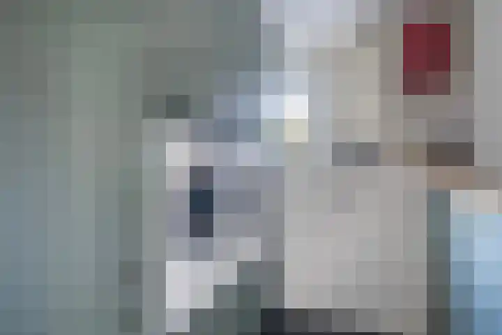 Aldlânsdyk 10 Stiens thumbnail 21
