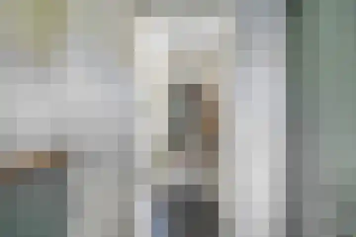 Aldlânsdyk 10 Stiens thumbnail 22