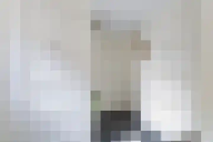 Aldlânsdyk 10 Stiens thumbnail 23
