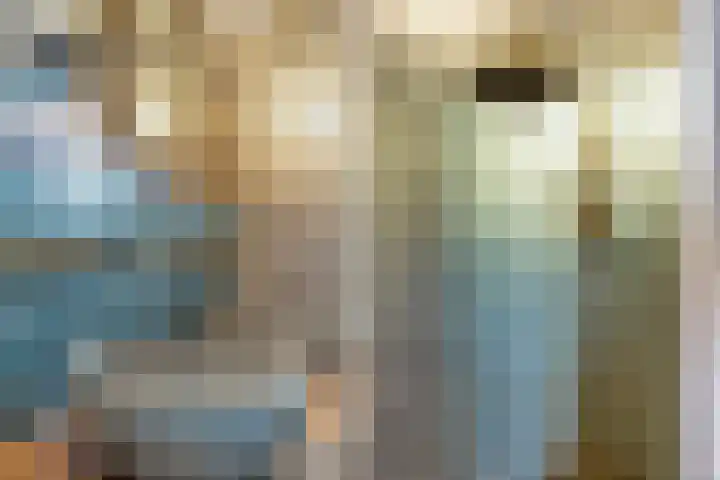 Aldlânsdyk 10 Stiens thumbnail 26