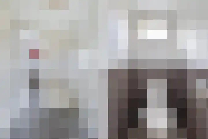 Aldlânsdyk 10 Stiens thumbnail 27