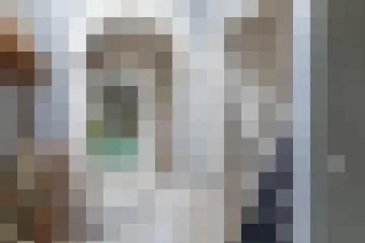 Aldlânsdyk 10 Stiens thumbnail 28
