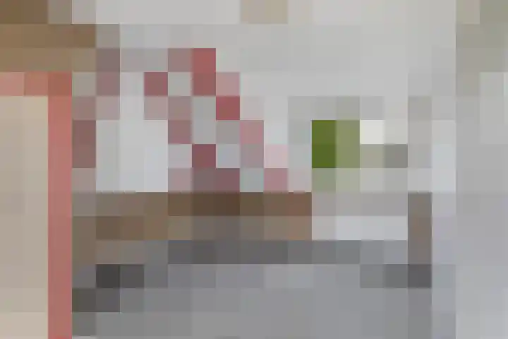 Aldlânsdyk 10 Stiens thumbnail 32