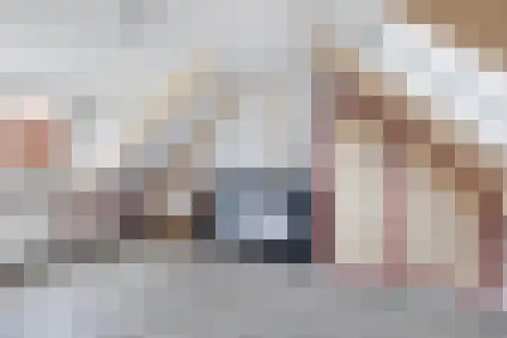 Aldlânsdyk 10 Stiens thumbnail 34