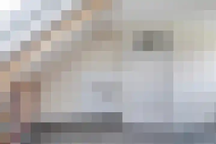 Aldlânsdyk 10 Stiens thumbnail 35