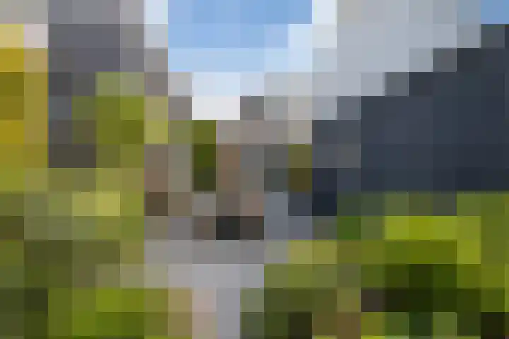 Aldlânsdyk 10 Stiens thumbnail 36