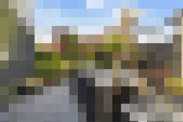 Aldlânsdyk 10 Stiens thumbnail 37
