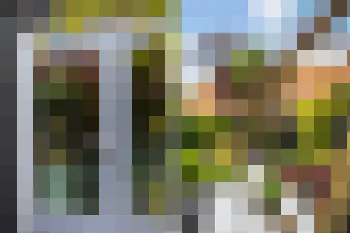 Aldlânsdyk 10 Stiens thumbnail 38