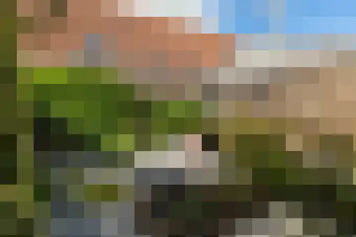 Aldlânsdyk 10 Stiens thumbnail 39