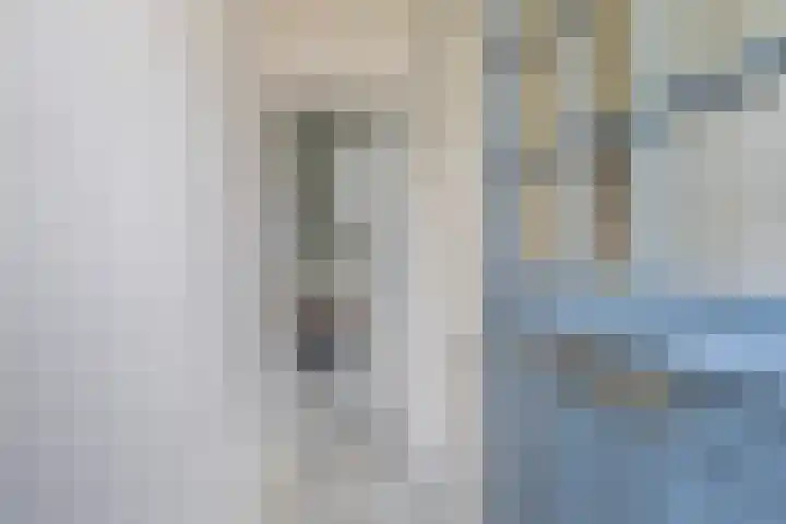 Aldlânsdyk 10 Stiens thumbnail 4
